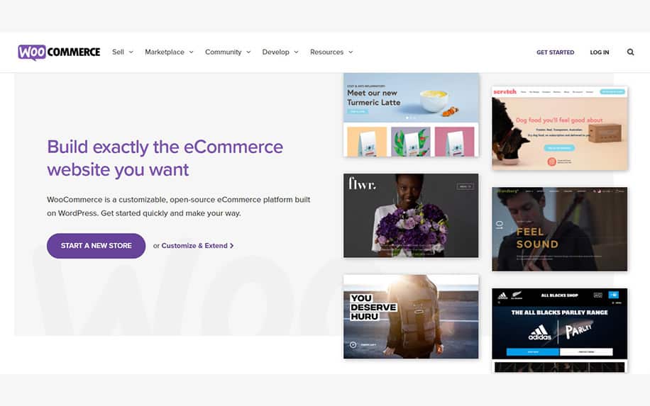 WooCommerce screenshot - Ecommerce Solutions