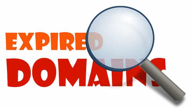 How to successfully acquire valuable expiring domains at little cost