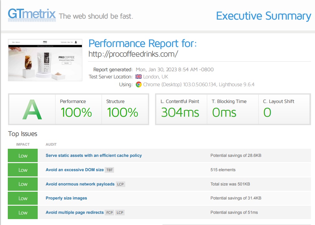 ProCoffee - GTMetrix Report After