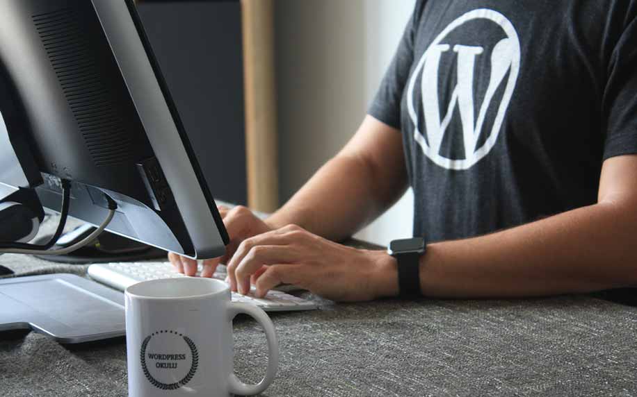 ultimate guide to wordpress