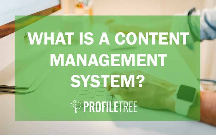 what is a content management system