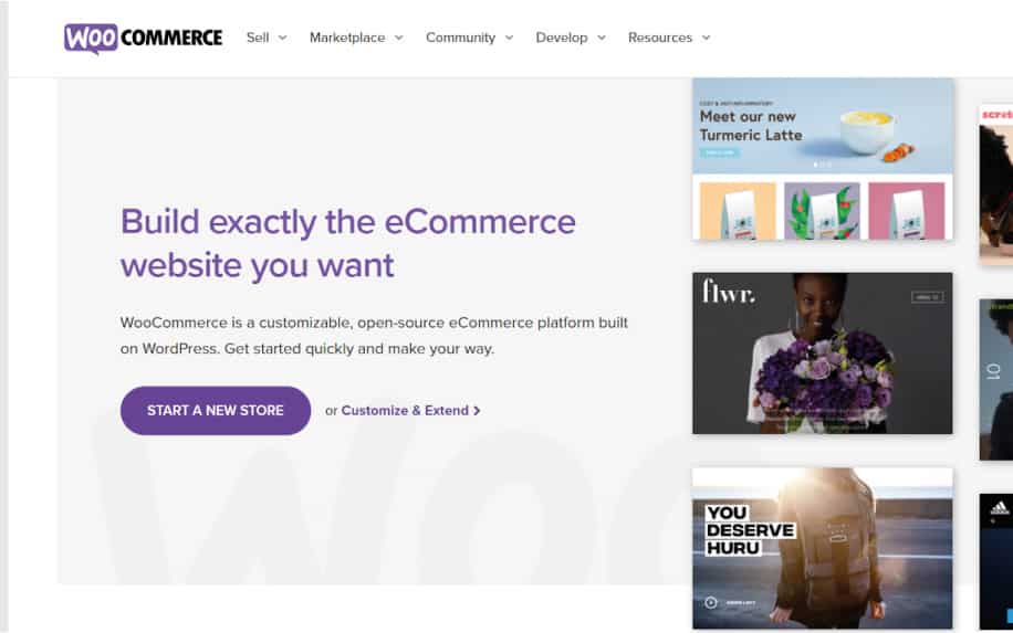 What is a WordPress plugin woocommerce