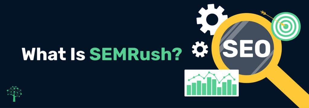 SEMRush / SEO