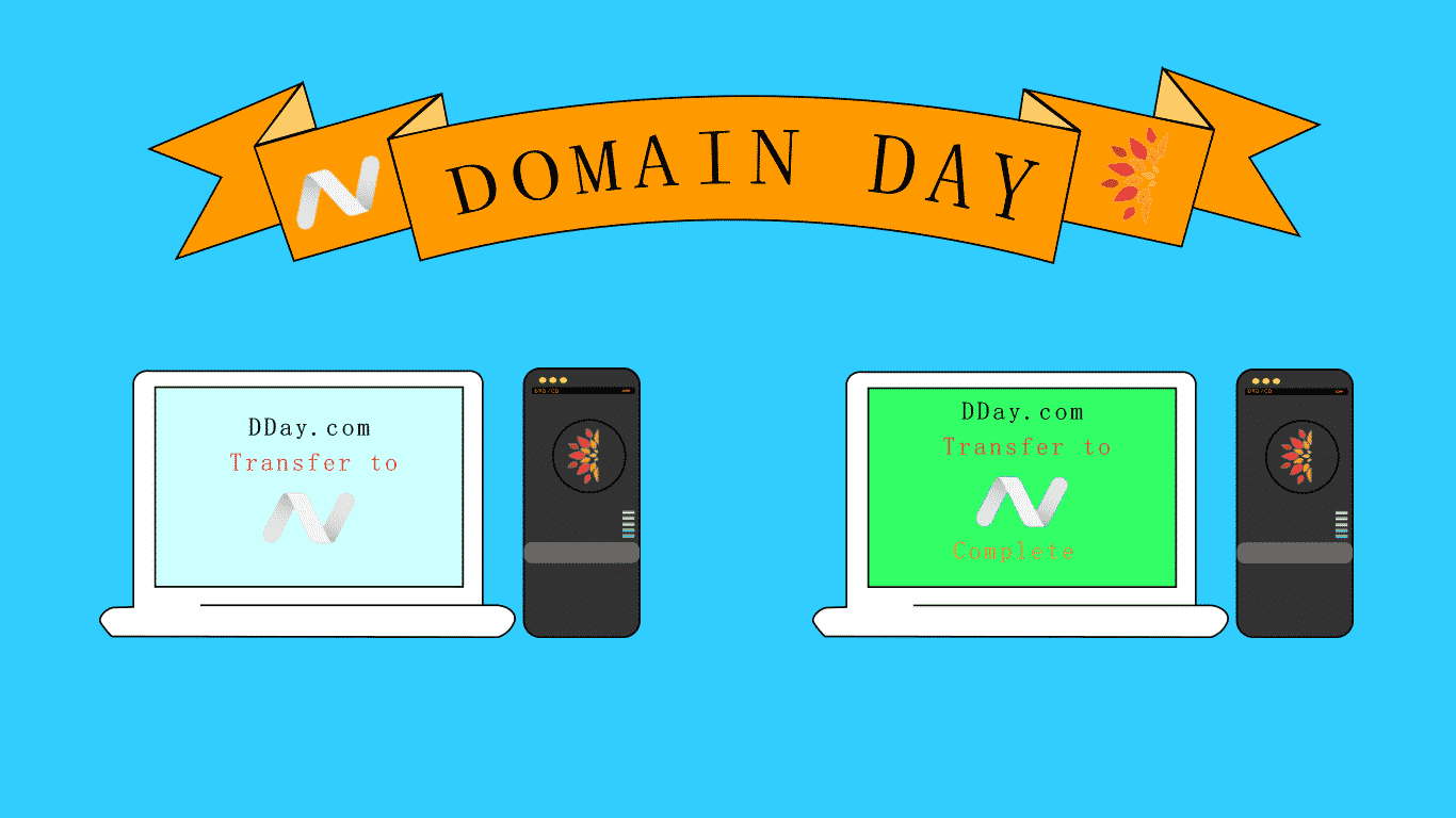 NameCheap Domain Day