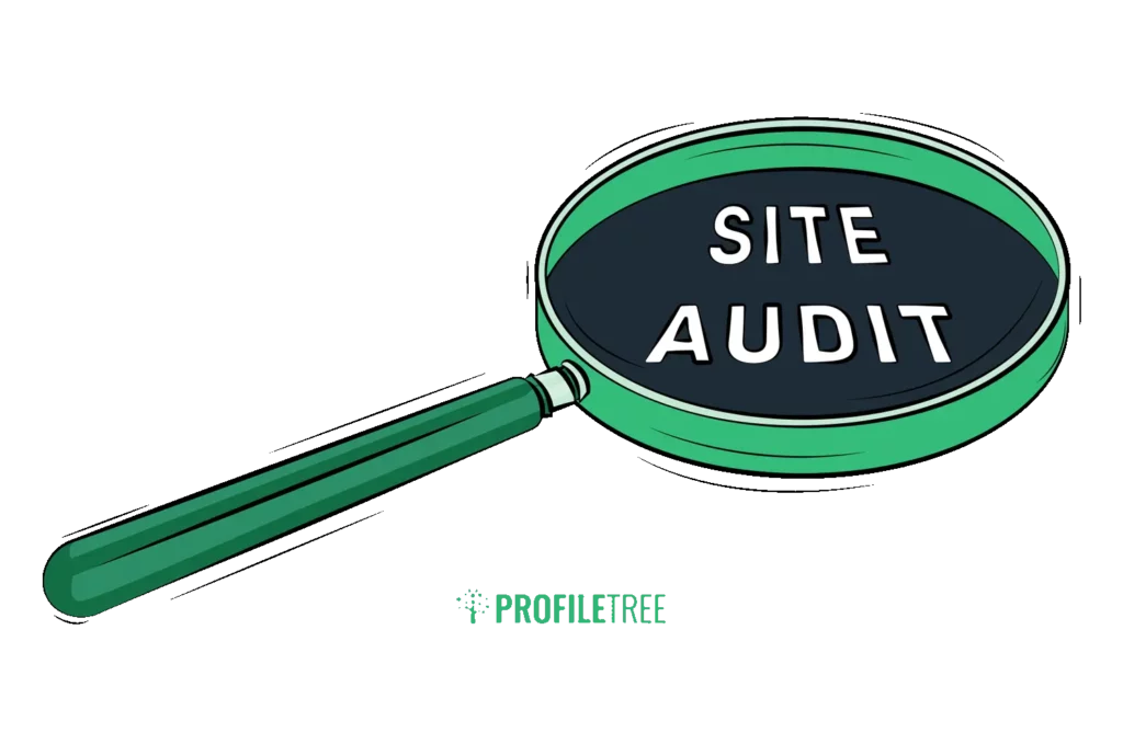 Digital Basics - What Is SEMRush - Site Audit