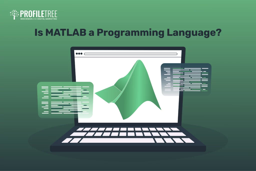 Is MATLAB a Programming Language?