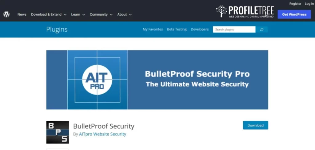 Website Security Audit